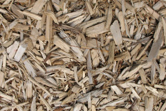 biomass boilers Reeds Holme